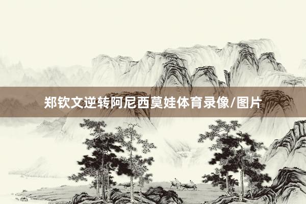 郑钦文逆转阿尼西莫娃体育录像/图片