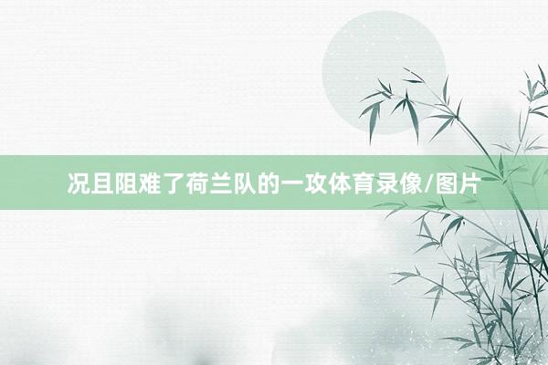 况且阻难了荷兰队的一攻体育录像/图片