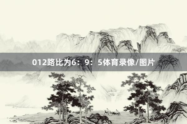 012路比为6：9：5体育录像/图片