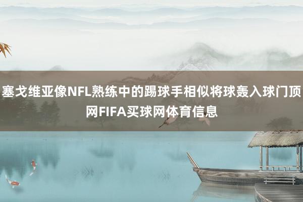 塞戈维亚像NFL熟练中的踢球手相似将球轰入球门顶网FIFA买球网体育信息