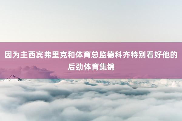 因为主西宾弗里克和体育总监德科齐特别看好他的后劲体育集锦