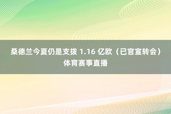 桑德兰今夏仍是支拨 1.16 亿欧（已官宣转会）体育赛事直播