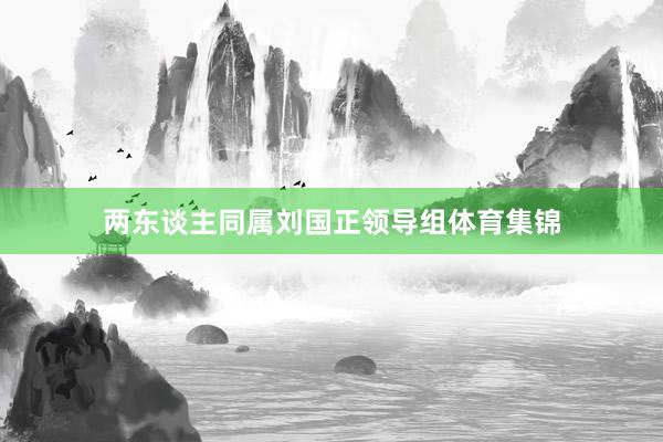 两东谈主同属刘国正领导组体育集锦