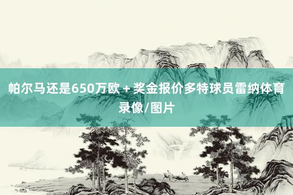 帕尔马还是650万欧＋奖金报价多特球员雷纳体育录像/图片