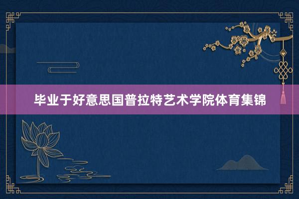 毕业于好意思国普拉特艺术学院体育集锦