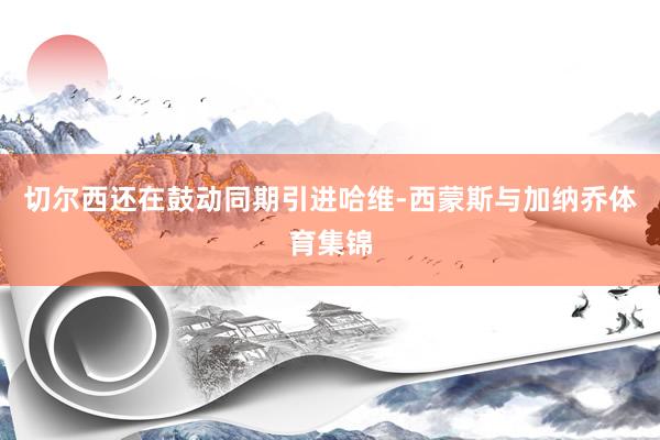 切尔西还在鼓动同期引进哈维-西蒙斯与加纳乔体育集锦