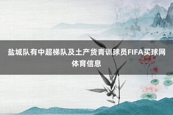 盐城队有中超梯队及土产货青训球员FIFA买球网体育信息