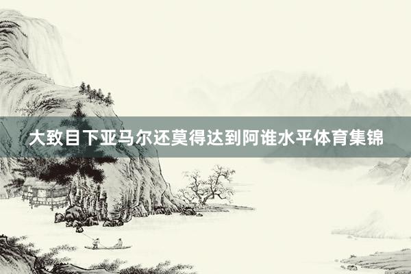 大致目下亚马尔还莫得达到阿谁水平体育集锦