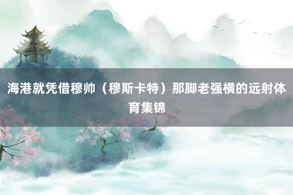海港就凭借穆帅（穆斯卡特）那脚老强横的远射体育集锦