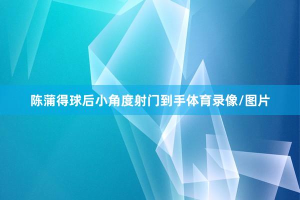 陈蒲得球后小角度射门到手体育录像/图片