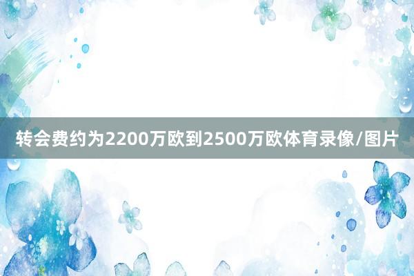 转会费约为2200万欧到2500万欧体育录像/图片