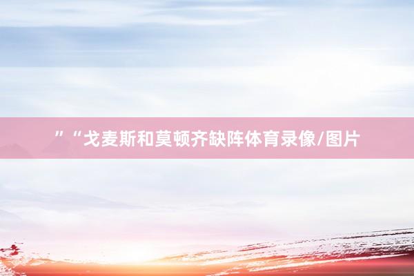 ”“戈麦斯和莫顿齐缺阵体育录像/图片